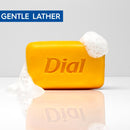 DIAL SOAP