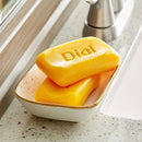 DIAL SOAP