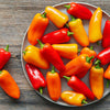 MINI SWEET PEPPERS BAG