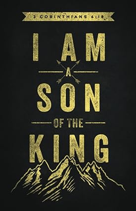 I AM A SON OF THE KING: PRAYER JOURNAL FOR MEN