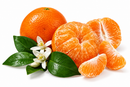 TANGERINES (5 LB BAG)