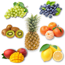 FRUITS FAVORITES BUNDLE