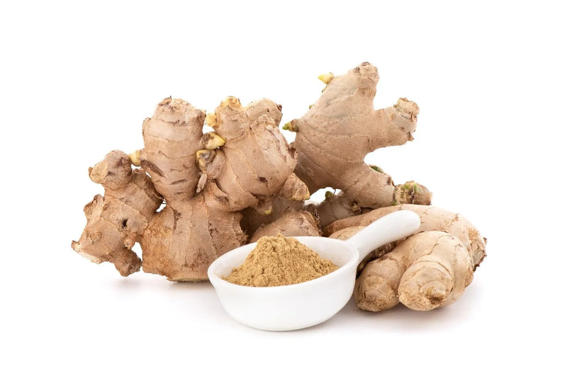 GINGER