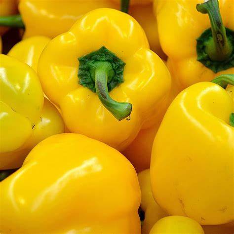 YELLOW PEPPERS (APPROXIMATELY 3 PER ORDER)