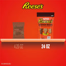 REESE'S BEARS CRACKERS