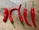 HOT CHILI PEPPERS