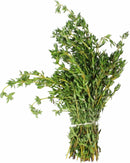 THYME