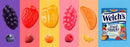 WELCH'S FRUIT SNACKS