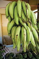 PLANTAIN