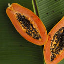 MADINA PAPAYA SOAP