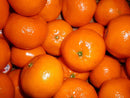 TANGERINES (5 LB BAG)