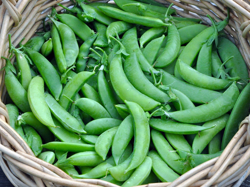 SUGAR SNAP PEAS