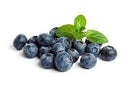 BLUEBERRIES - Emmas Premium Services