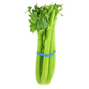 CELERY - Emmas Premium Services