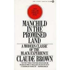Manchild in the Promised Land by Claude Brown - Emma's Premium Inmate Care Package Services 