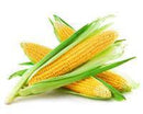 WHOLE CORN (3 Per Order) - Emmas Premium Services